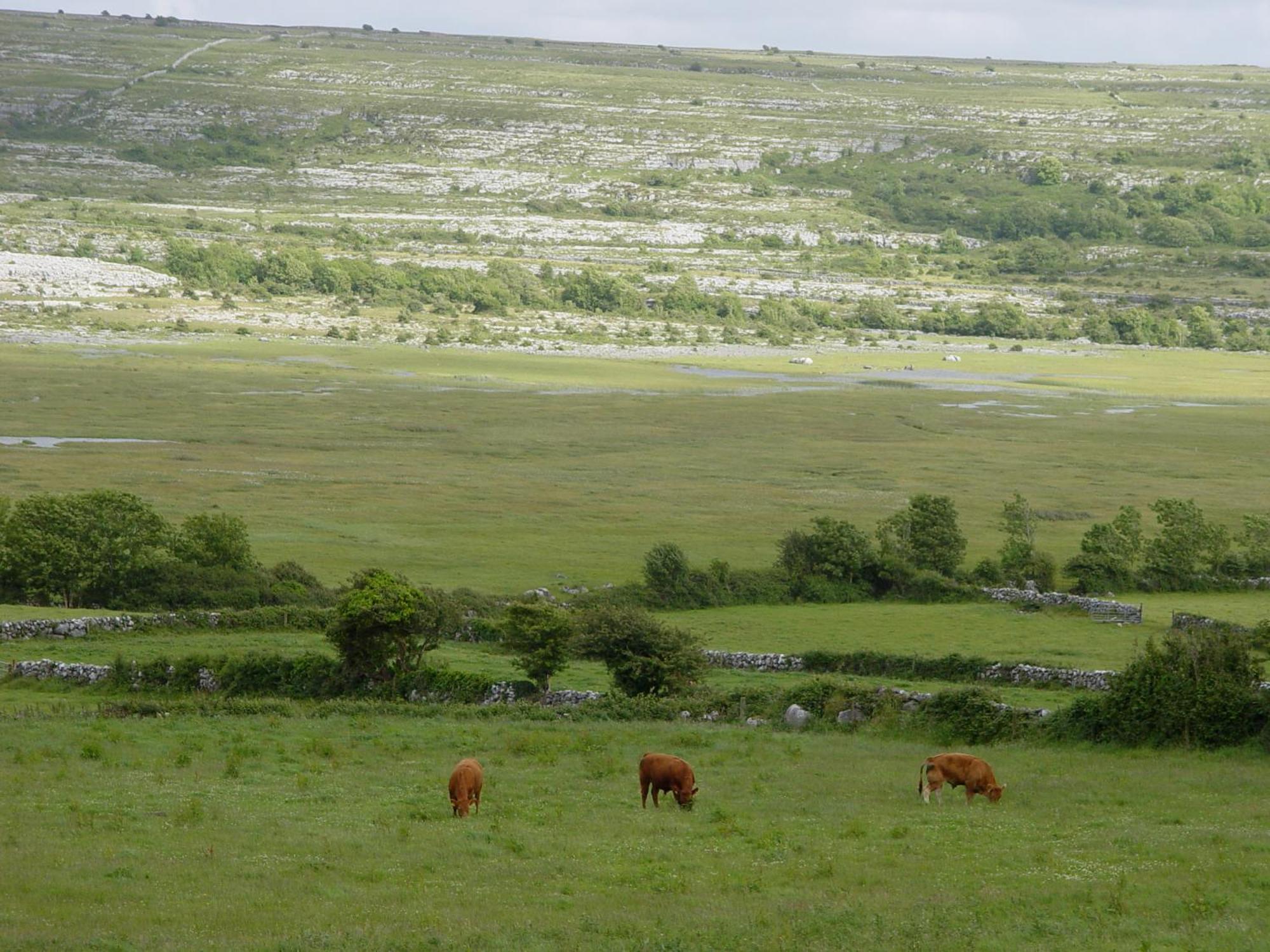Clare'S Rock Self-Catering Accommodation Carron المظهر الخارجي الصورة